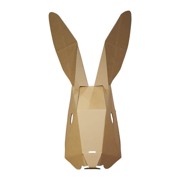 Exhibition Window Displays